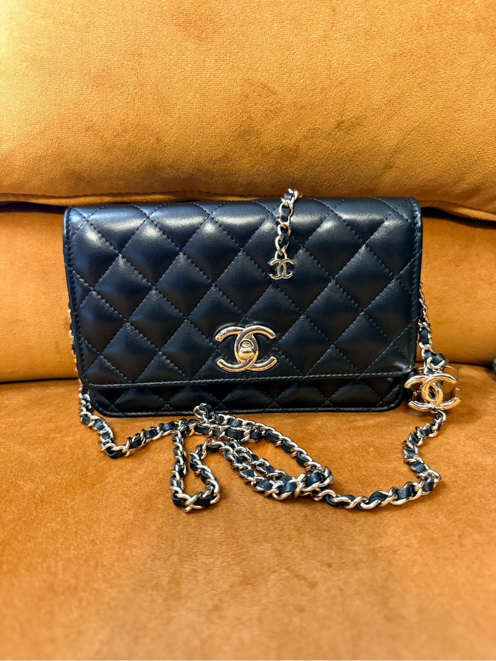 Chanel SPRING SUMMER 2026
WALLET ON CHAIN - Picture 5 of 14